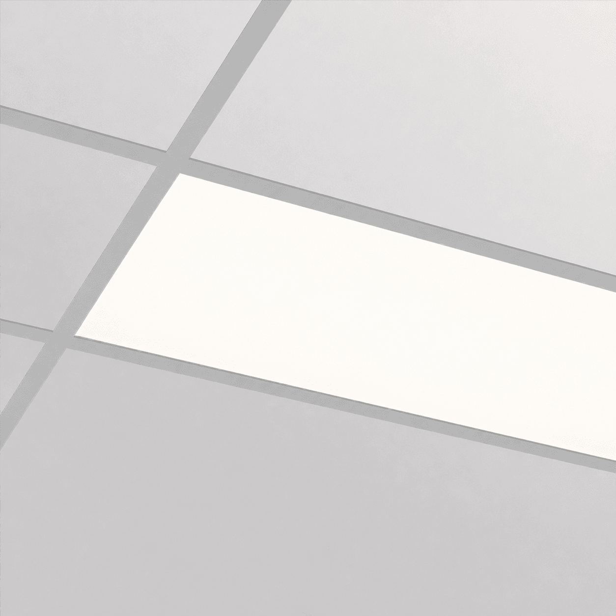 LumaCore D120 1200x300