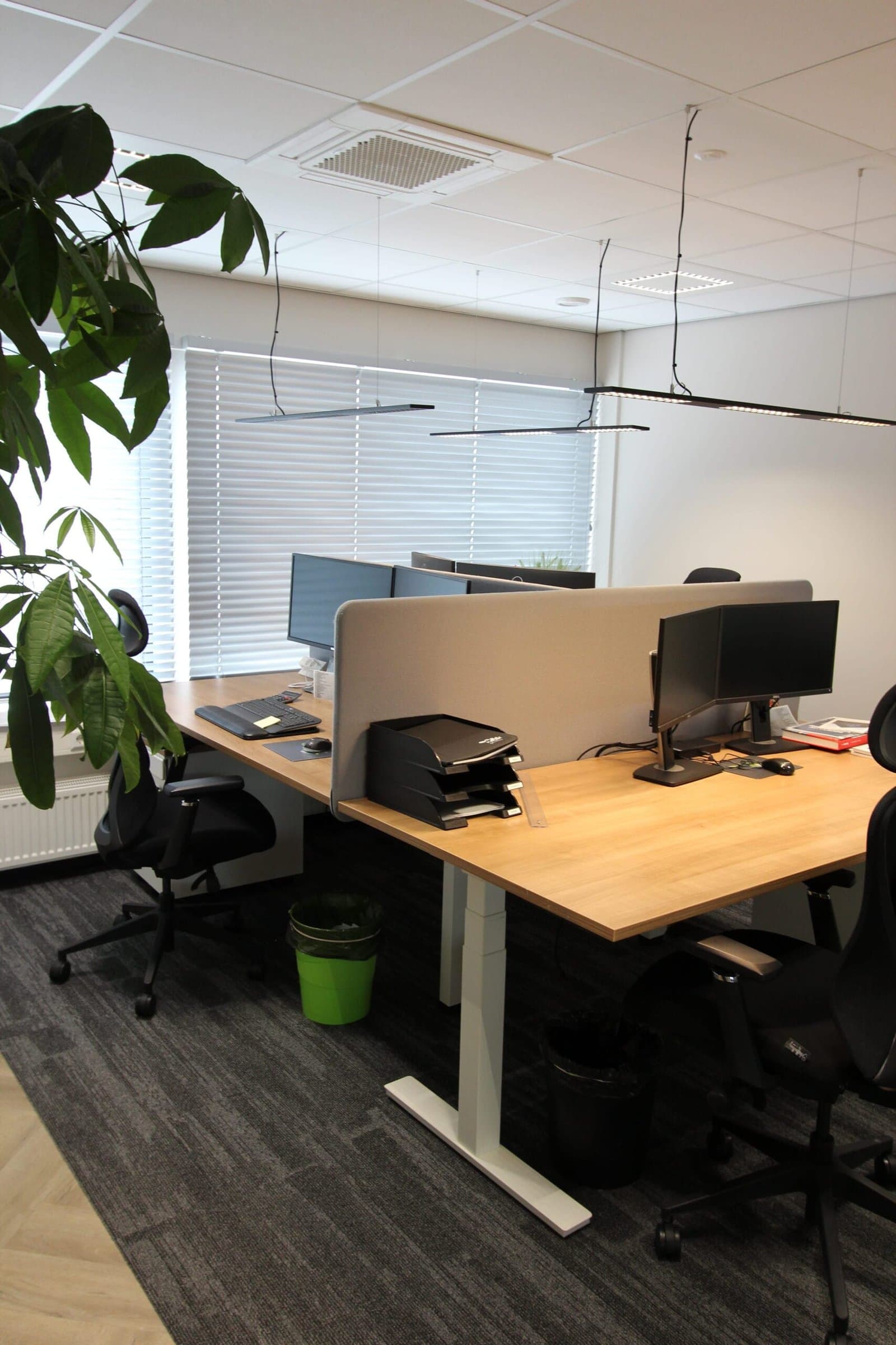 Plan Bee Onderhoud & Advies 1
