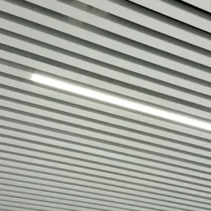 Vectura SAPP prismatic