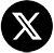 x logo