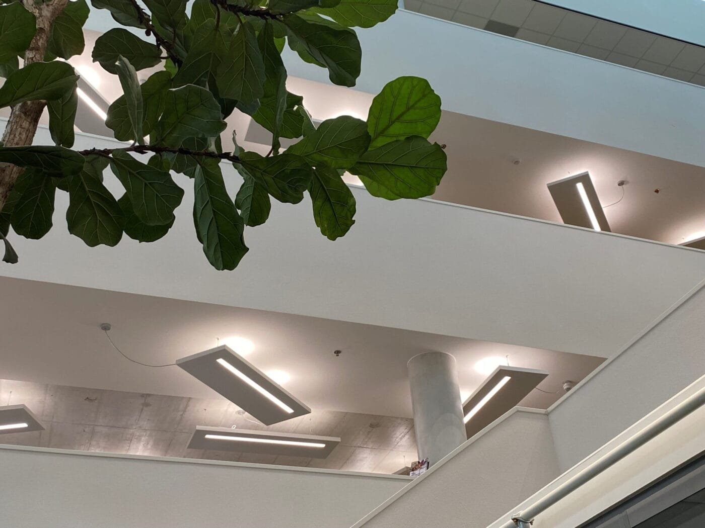 Gemeentehuis Hardenberg