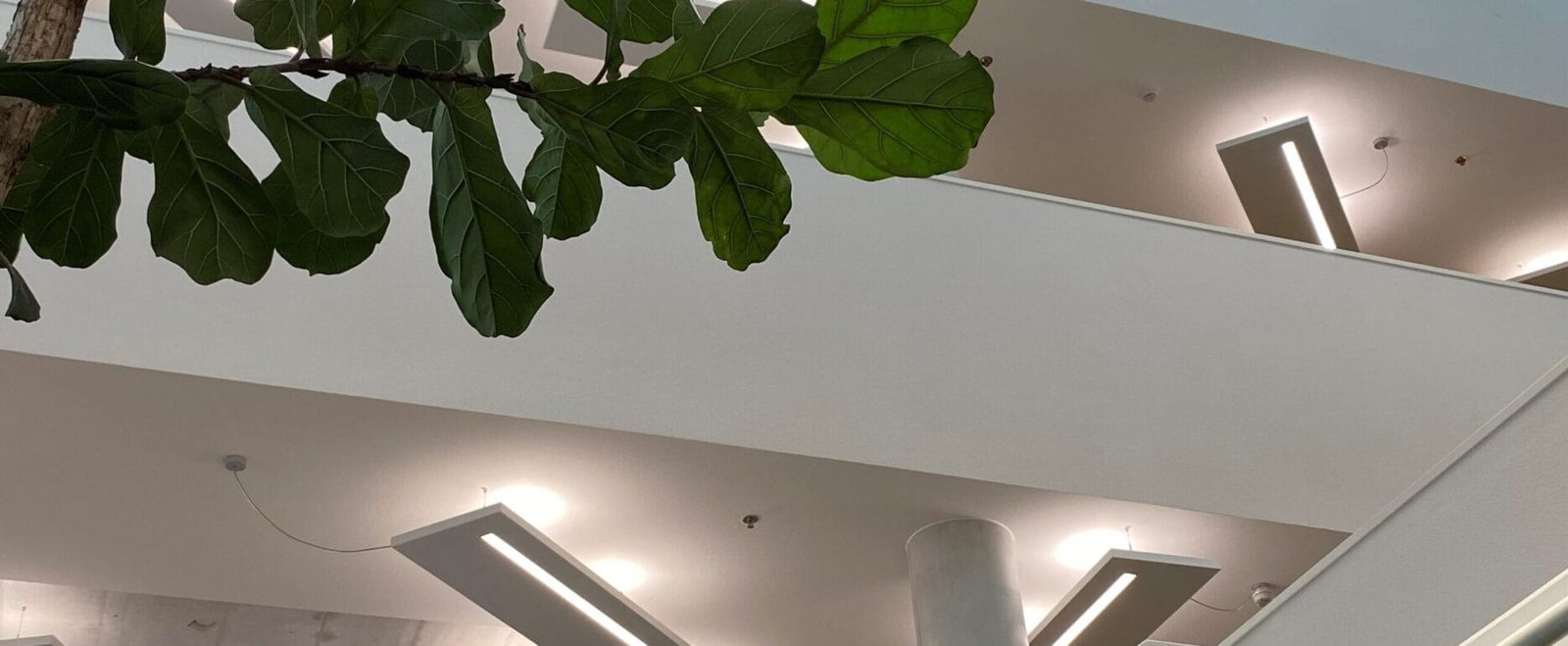 Gemeentehuis Hardenberg