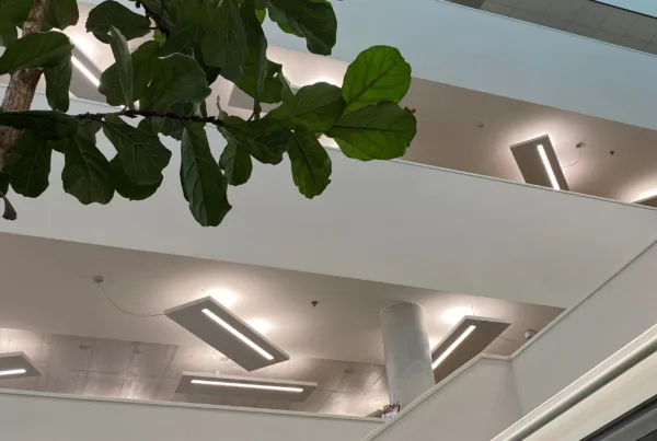 Gemeentehuis Hardenberg