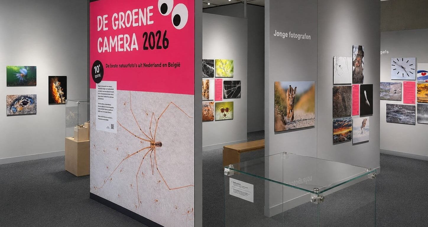 Museon Omniversum het project waar verlichting, natuur als musea bij elkaar komt