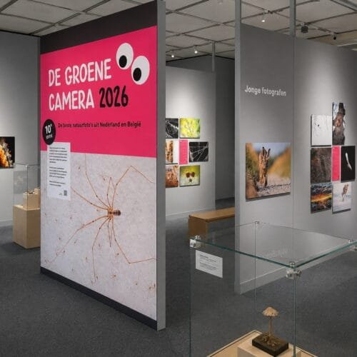 Museon Omniversum het project waar verlichting, natuur als musea bij elkaar komt